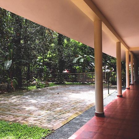 Palm Grove Service Villa Kochi Exterior photo
