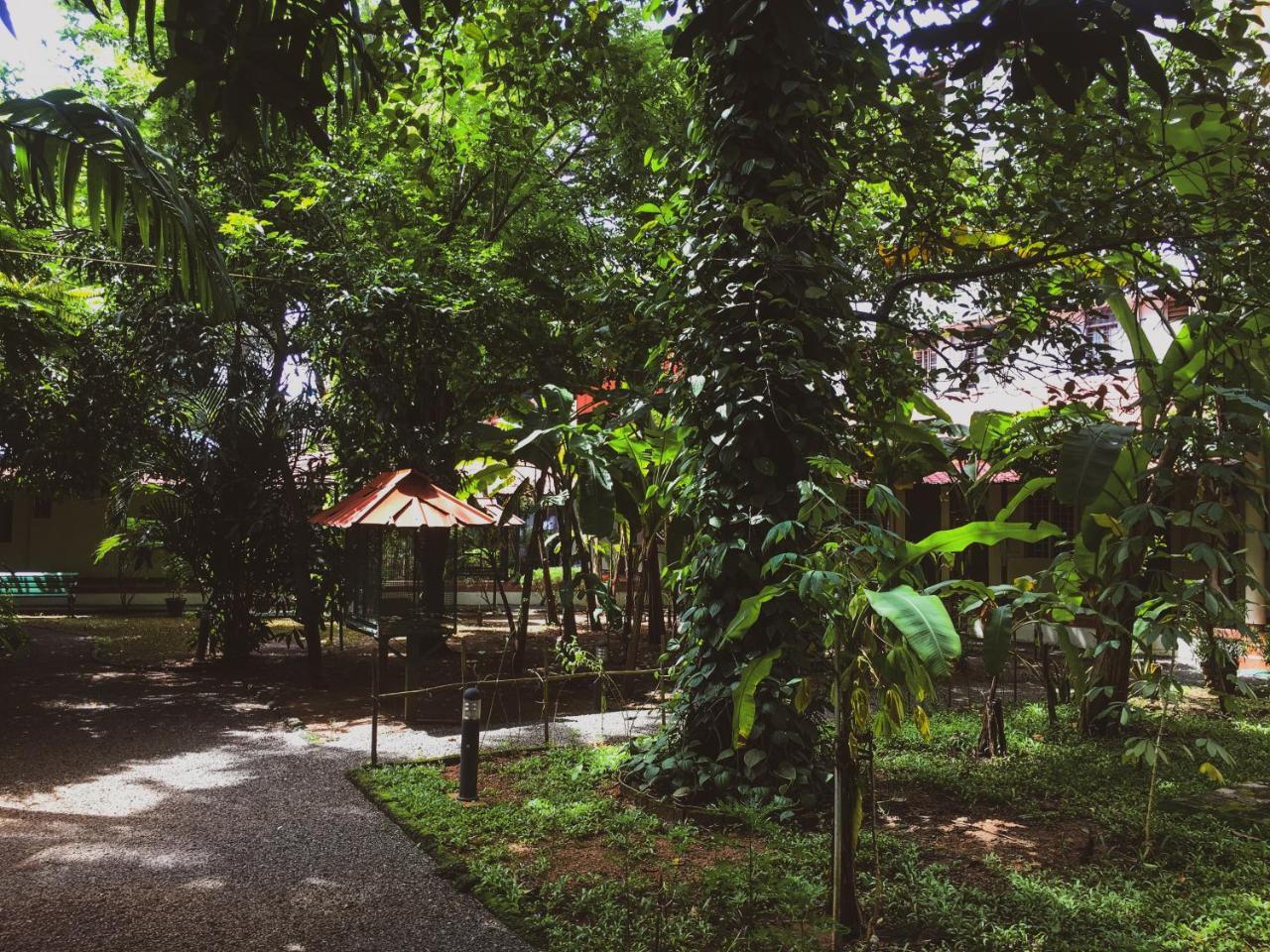 Palm Grove Service Villa Kochi Exterior photo