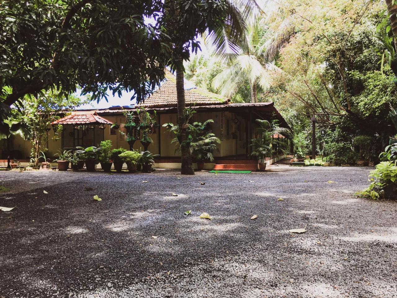 Palm Grove Service Villa Kochi Exterior photo