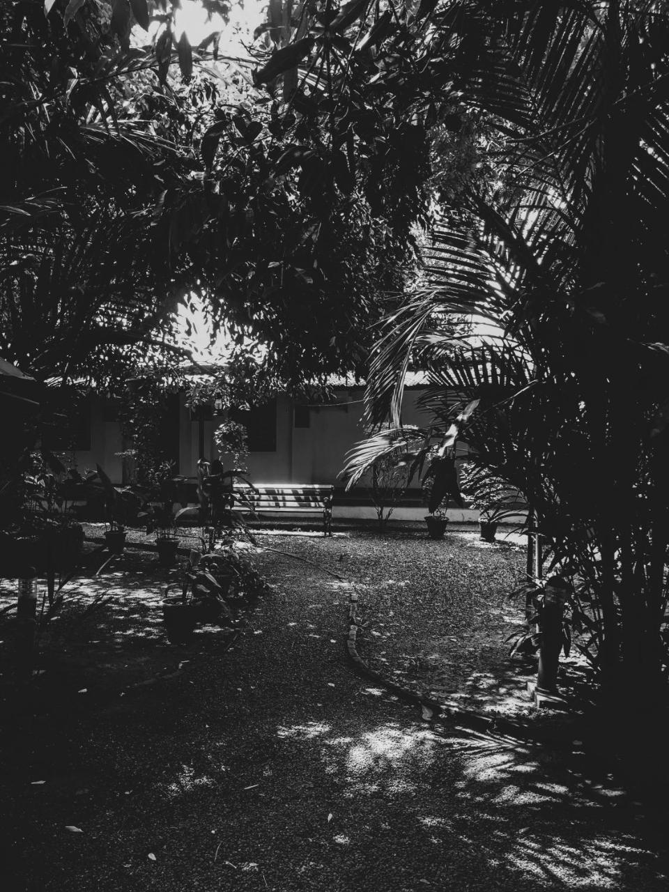 Palm Grove Service Villa Kochi Exterior photo