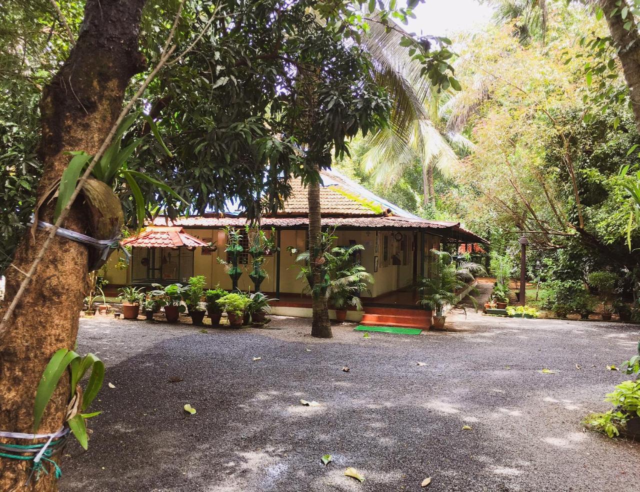 Palm Grove Service Villa Kochi Exterior photo